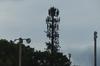 Treepole monopole cell tower 