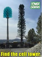 Cell tower tree meme