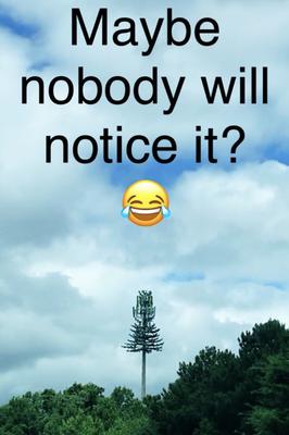 Ugly Cell Tower Tree Meme from Charlotte NC LOL
