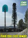 Cell tower tree meme