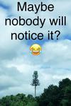 Ugly Cell Tower Tree Meme from Charlotte NC LOL