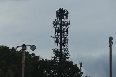 Treepole monopole cell tower 